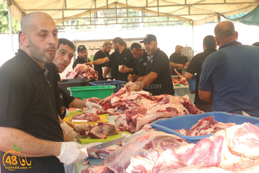 ada7y forthei (33).JPG